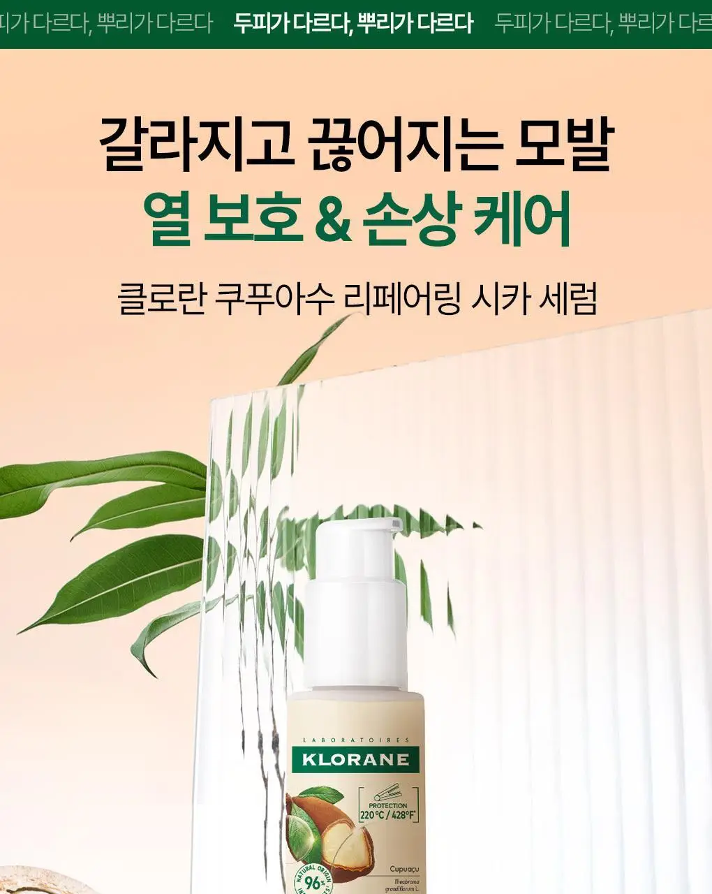 [열보호] 클로란 쿠푸아수 리페어링 시카 세럼 100ml 상세페이지 3